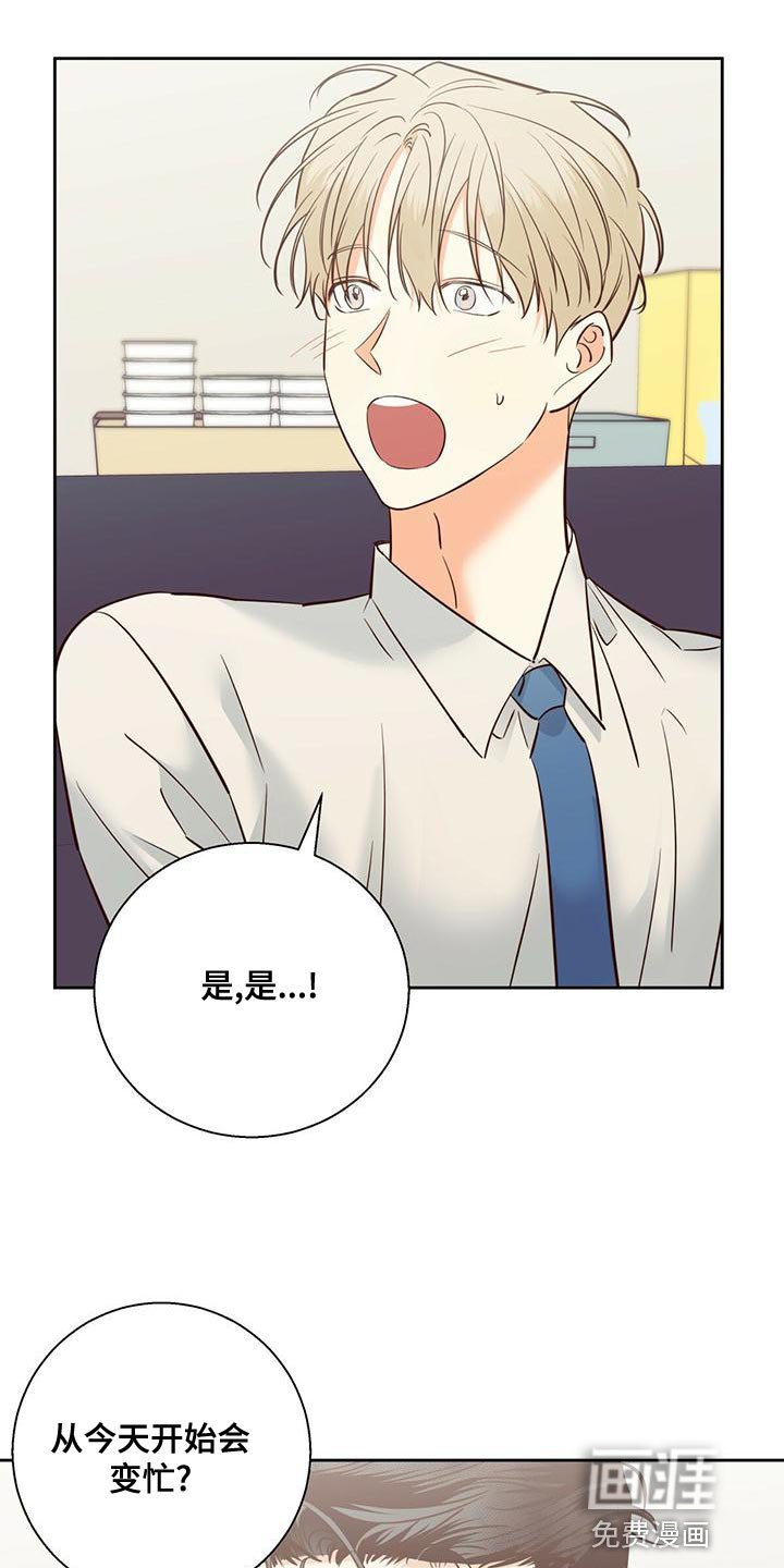 第140章：【第三季】繁忙的工作