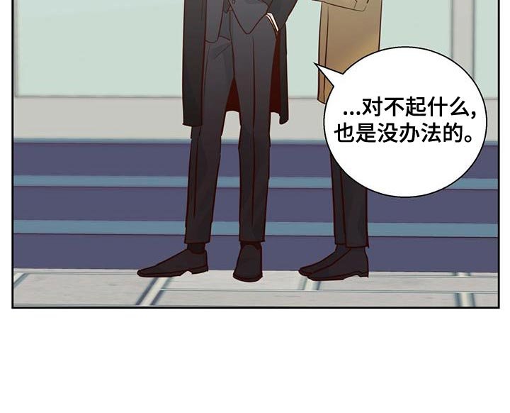 第140章：【第三季】繁忙的工作