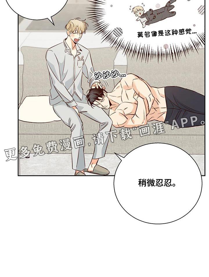 第153章：【番外】膝枕