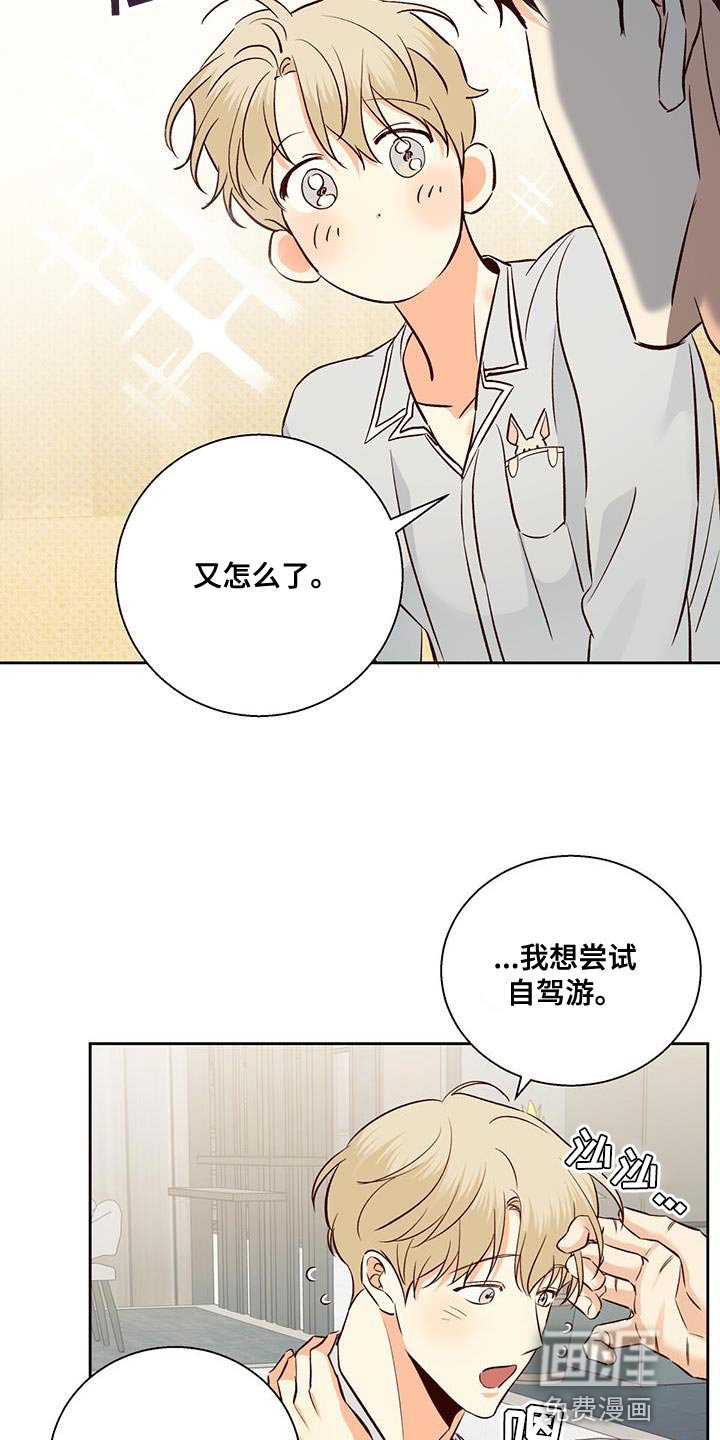 第154章：【番外】开车