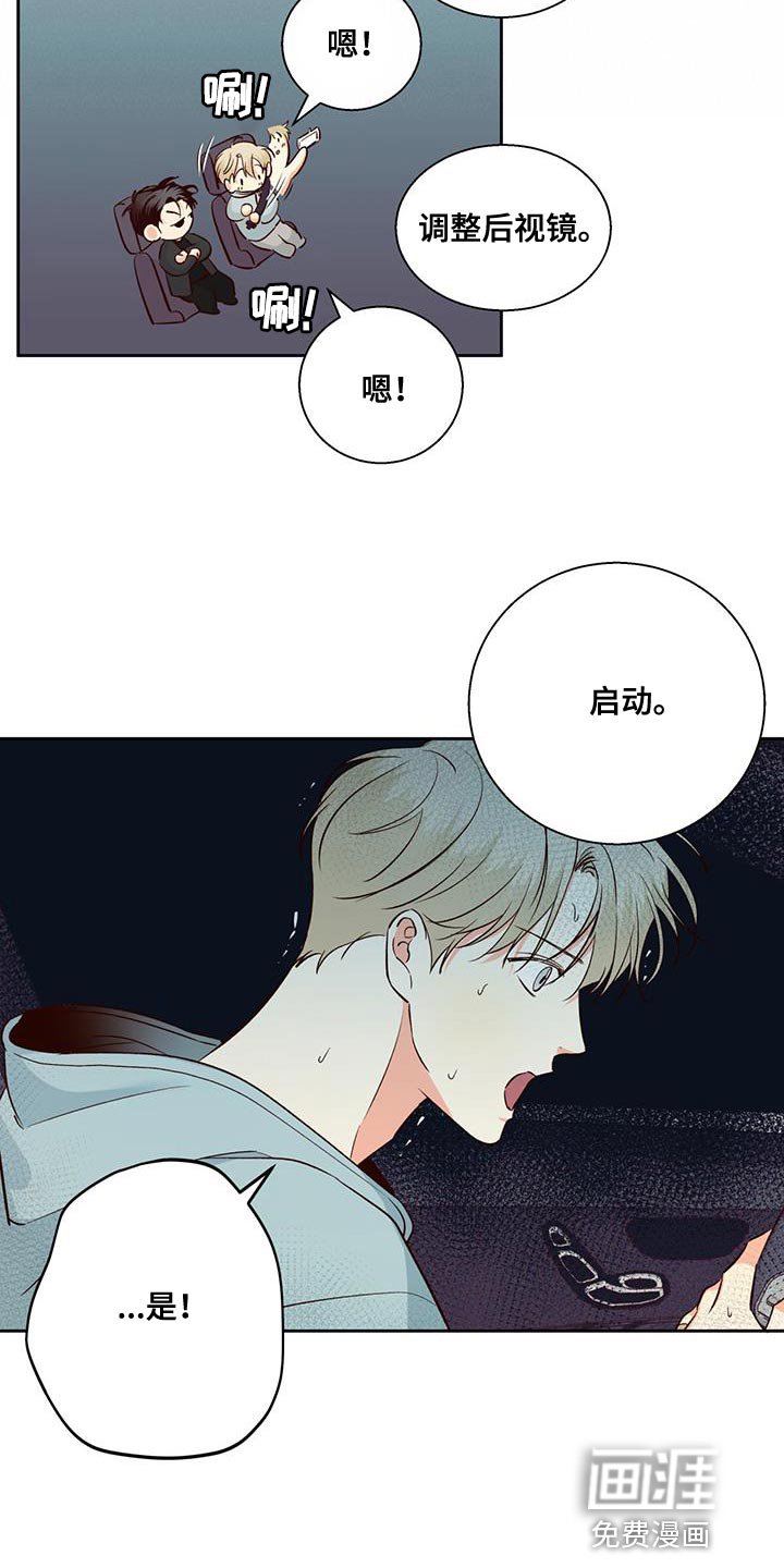 第154章：【番外】开车
