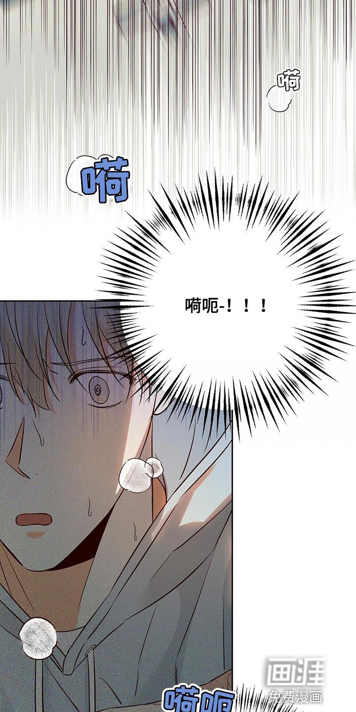 第155章：【番外】美好的记忆