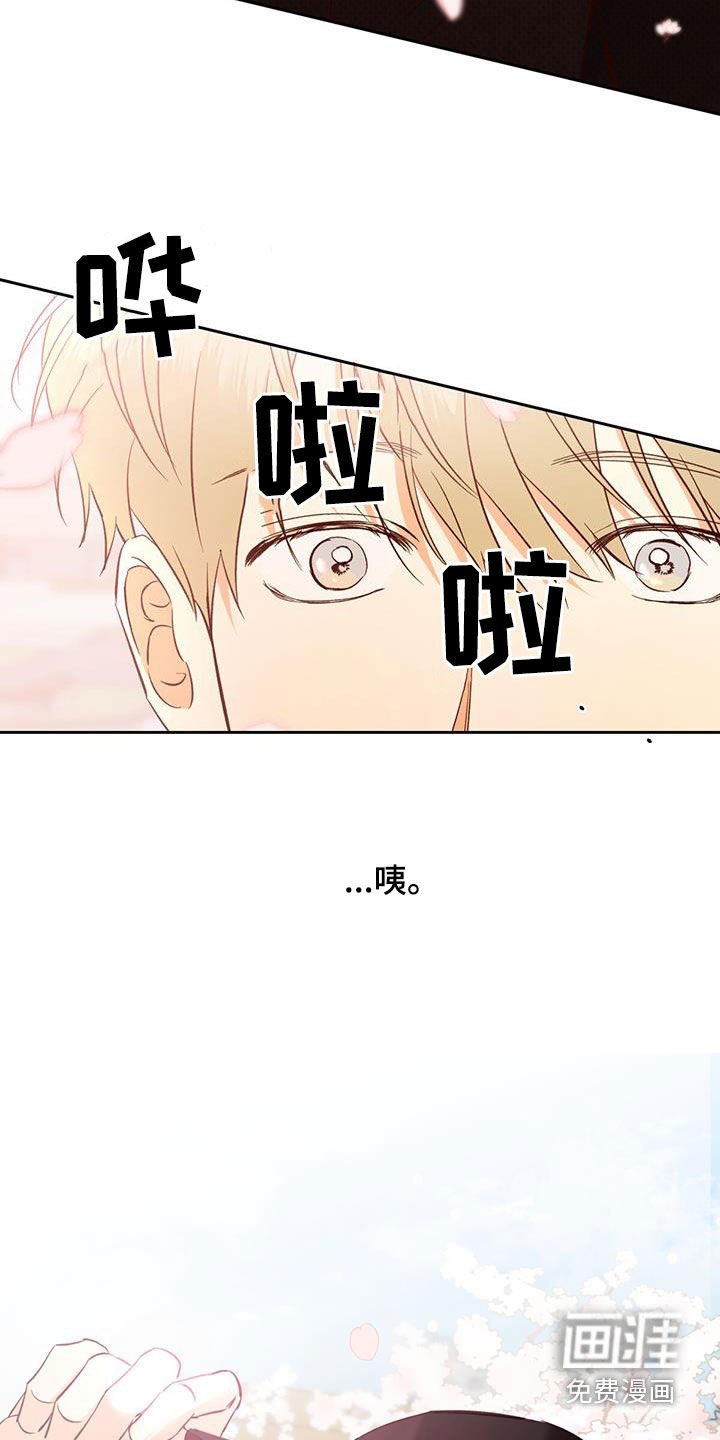 第159章：【番外】校园