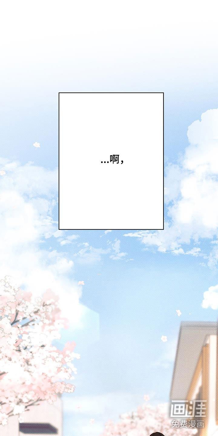第159章：【番外】校园