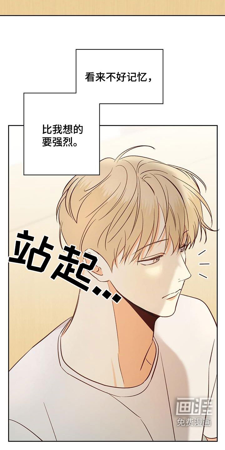 第161章：【番外】注定的结局