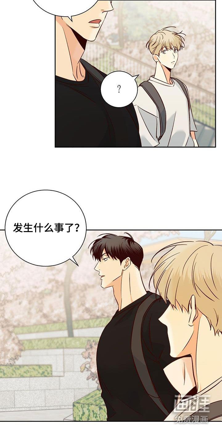 第161章：【番外】注定的结局