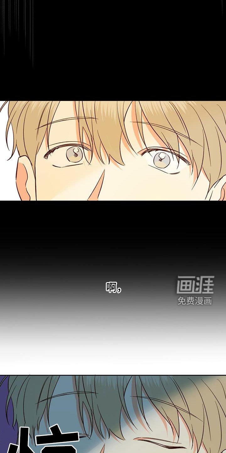 第162章：【番外】普通的故事