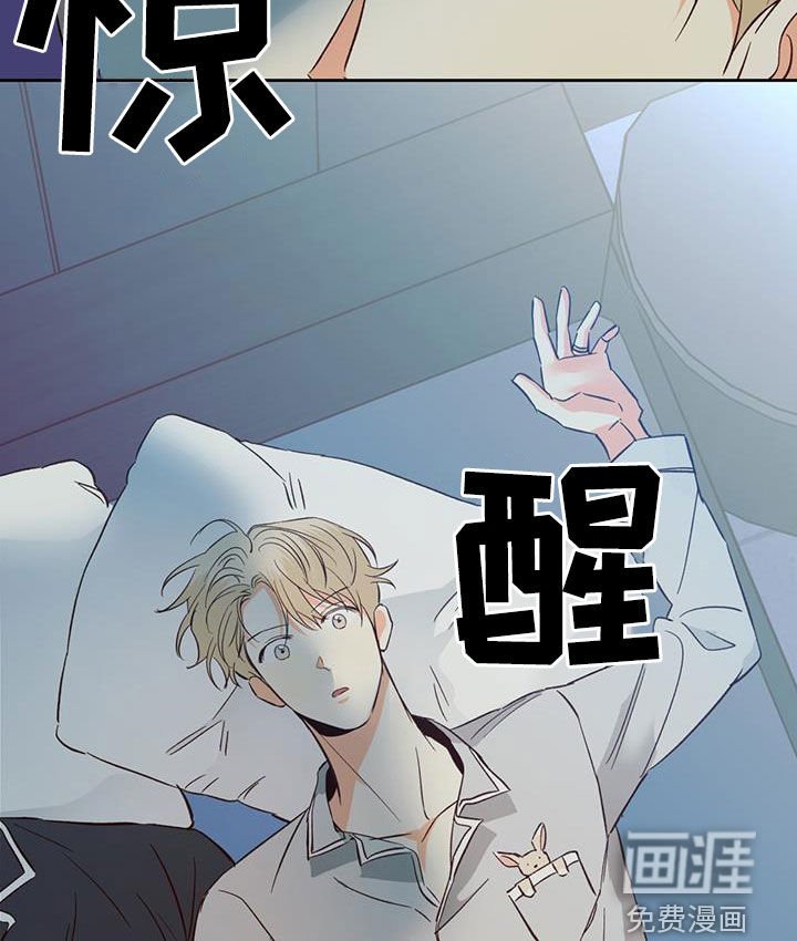 第162章：【番外】普通的故事