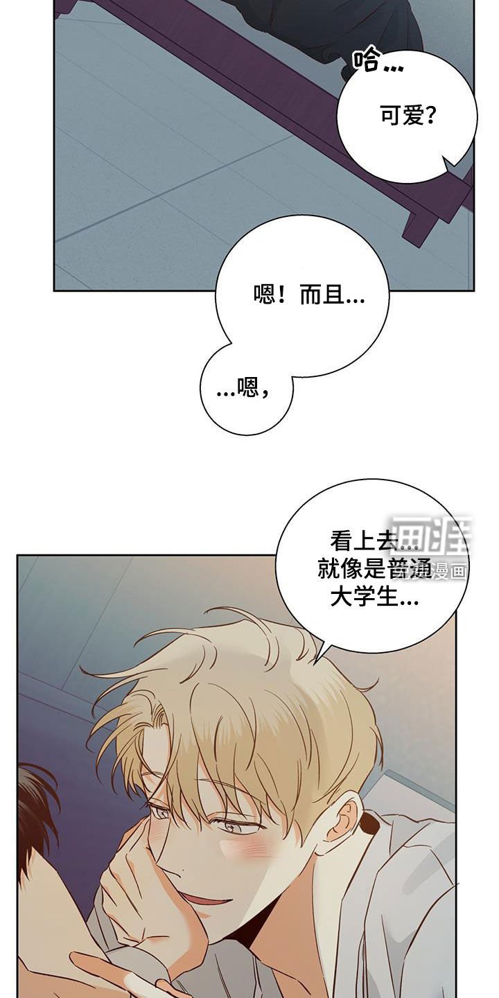 第162章：【番外】普通的故事