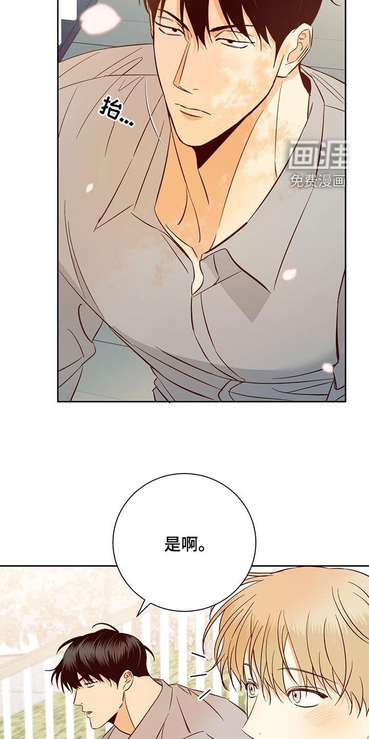 第164章：【番外】兼职