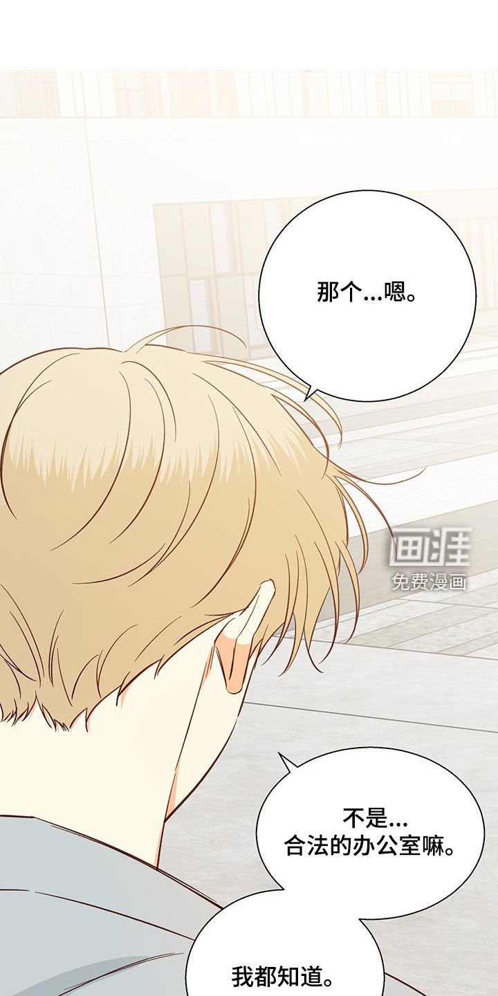 第165章：【番外】再也没梦到
