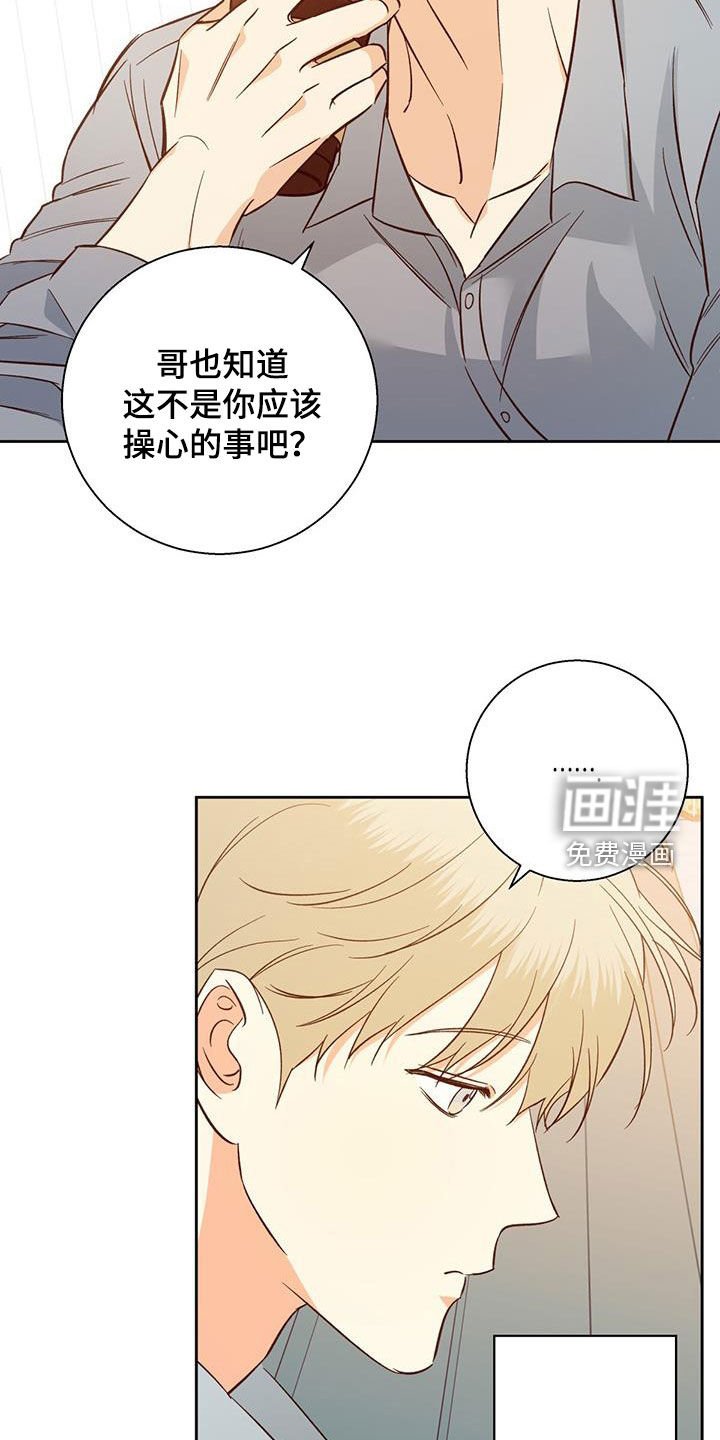 第165章：【番外】再也没梦到