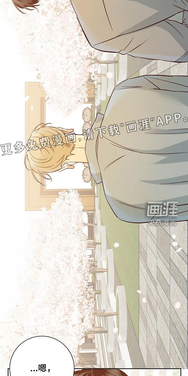 第165章：【番外】再也没梦到
