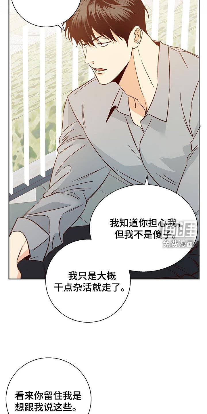 第165章：【番外】再也没梦到