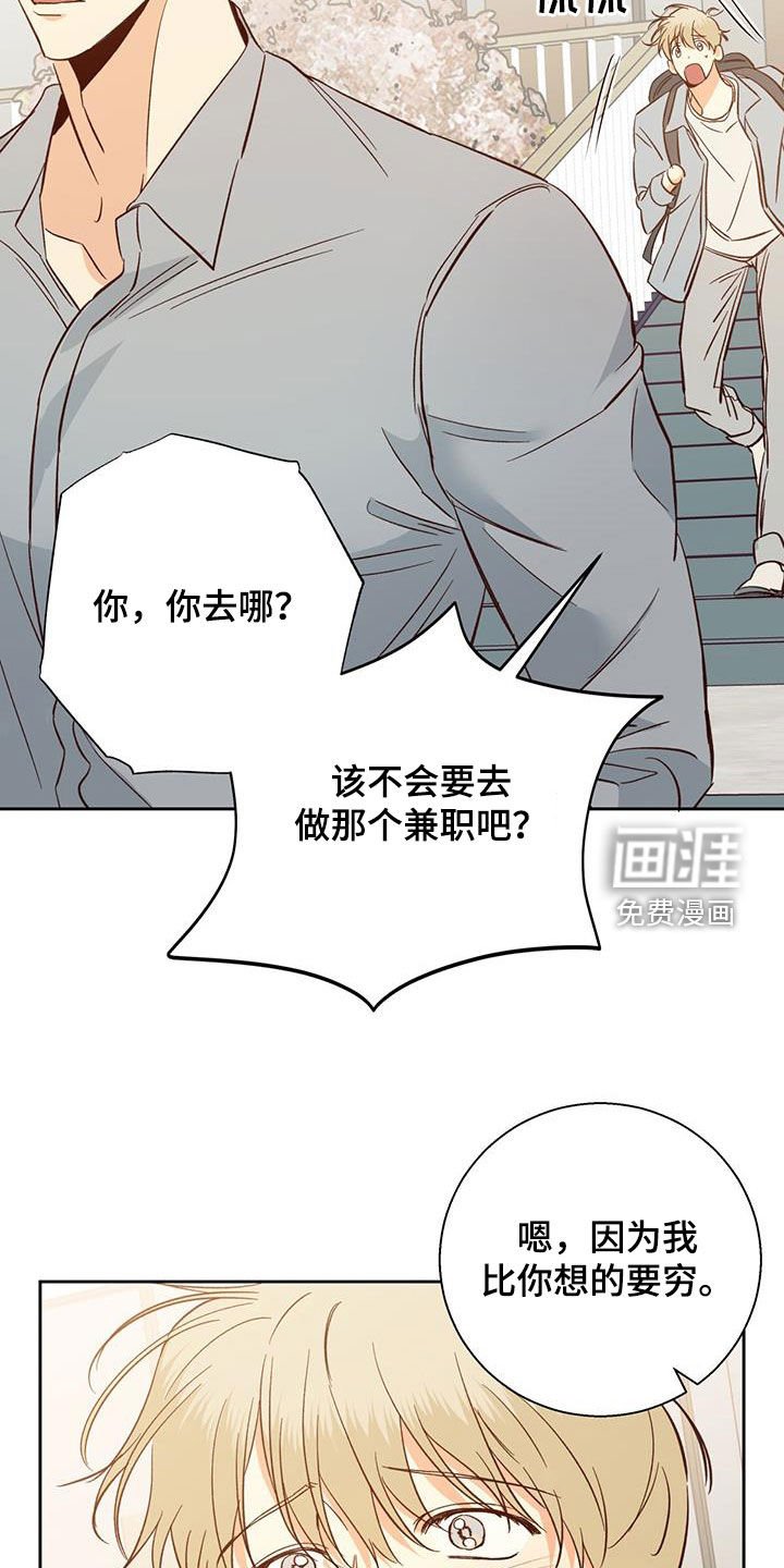 第165章：【番外】再也没梦到