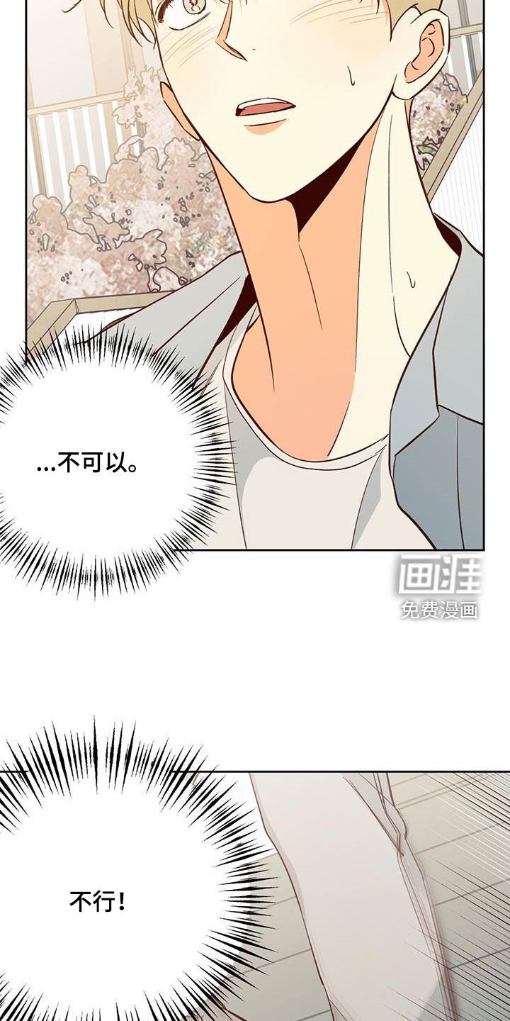 第165章：【番外】再也没梦到