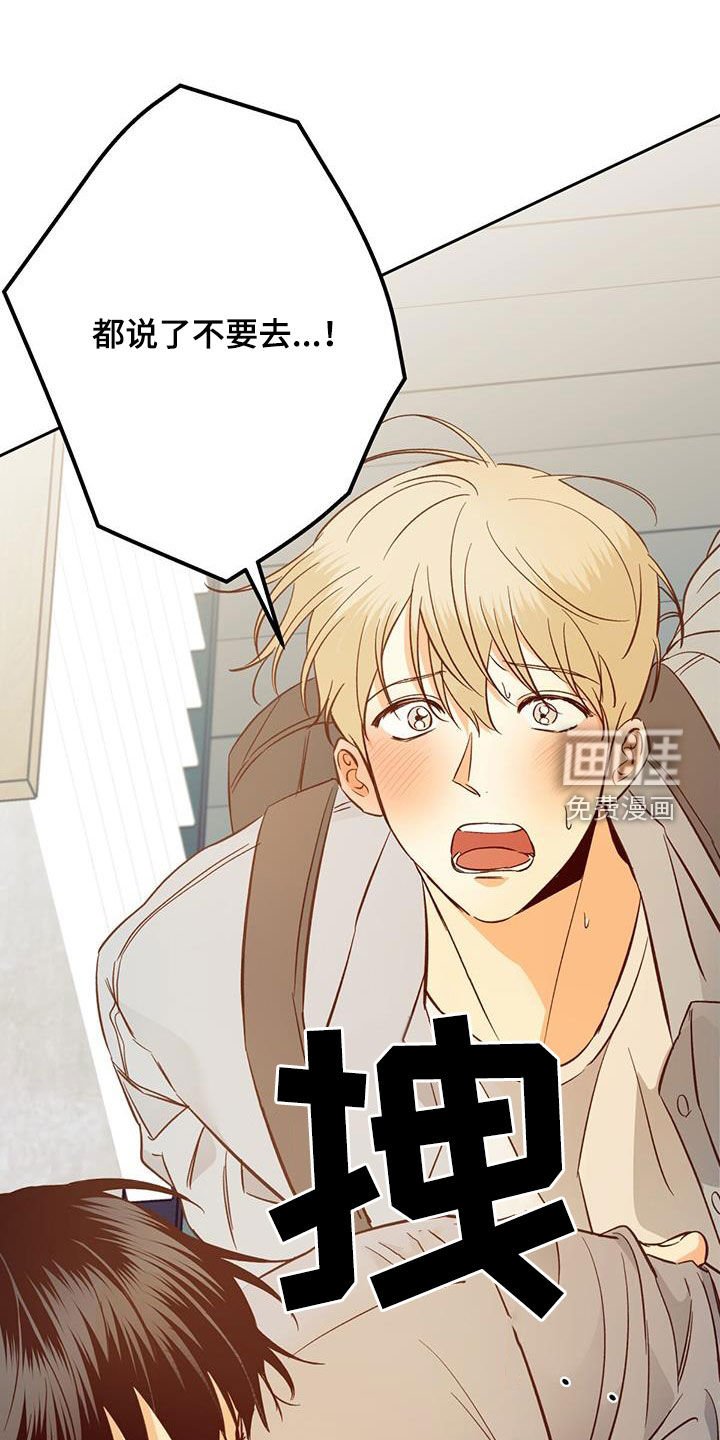 第165章：【番外】再也没梦到