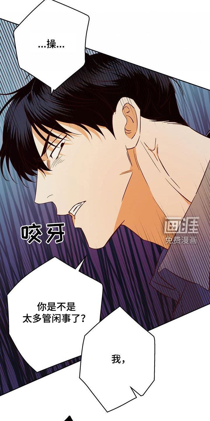 第165章：【番外】再也没梦到