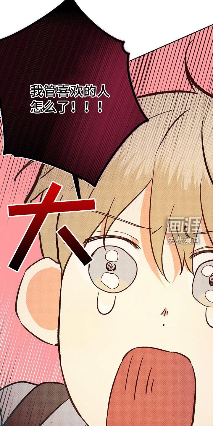 第165章：【番外】再也没梦到