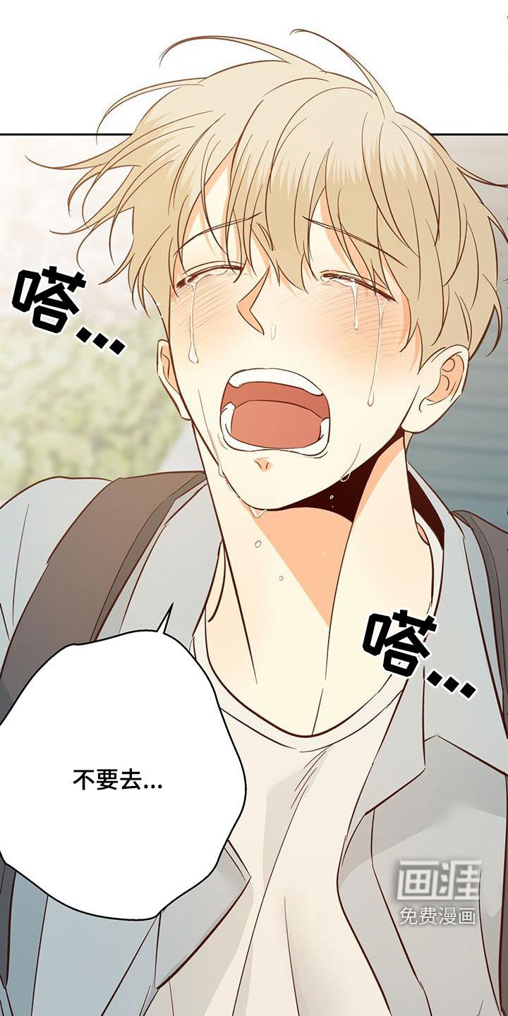 第165章：【番外】再也没梦到