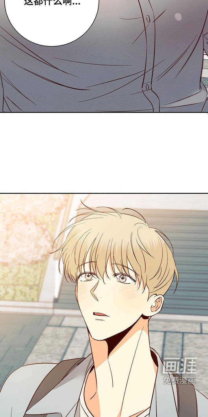 第165章：【番外】再也没梦到