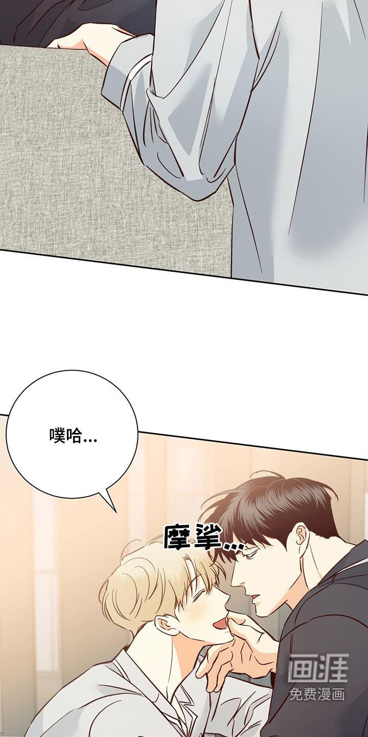 第167章：【番外完结】平凡的幸福