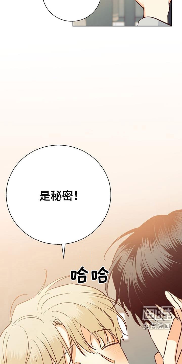 第167章：【番外完结】平凡的幸福
