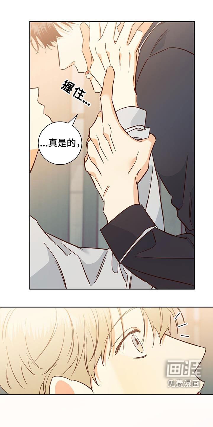 第167章：【番外完结】平凡的幸福