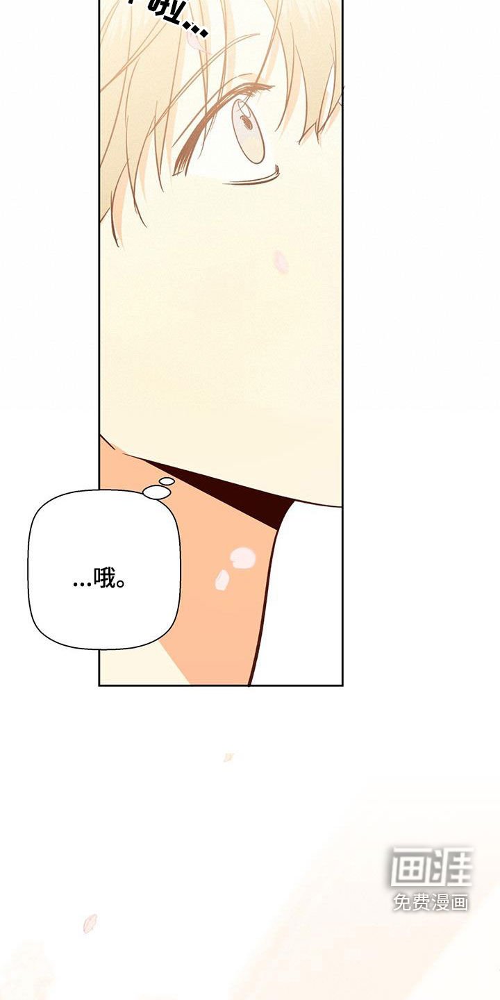 第167章：【番外完结】平凡的幸福