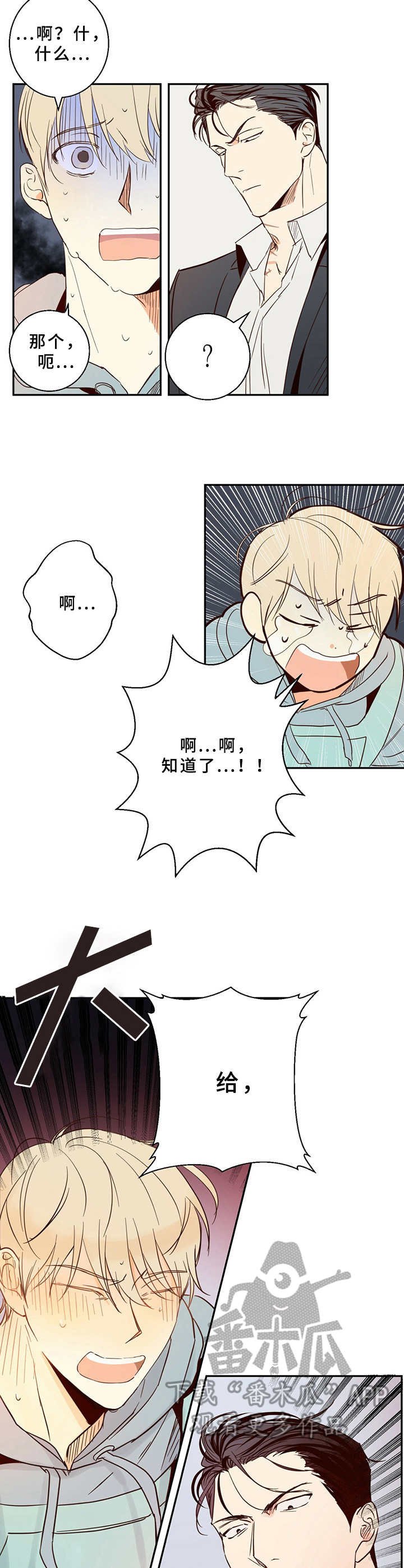 第2章：蠢事
