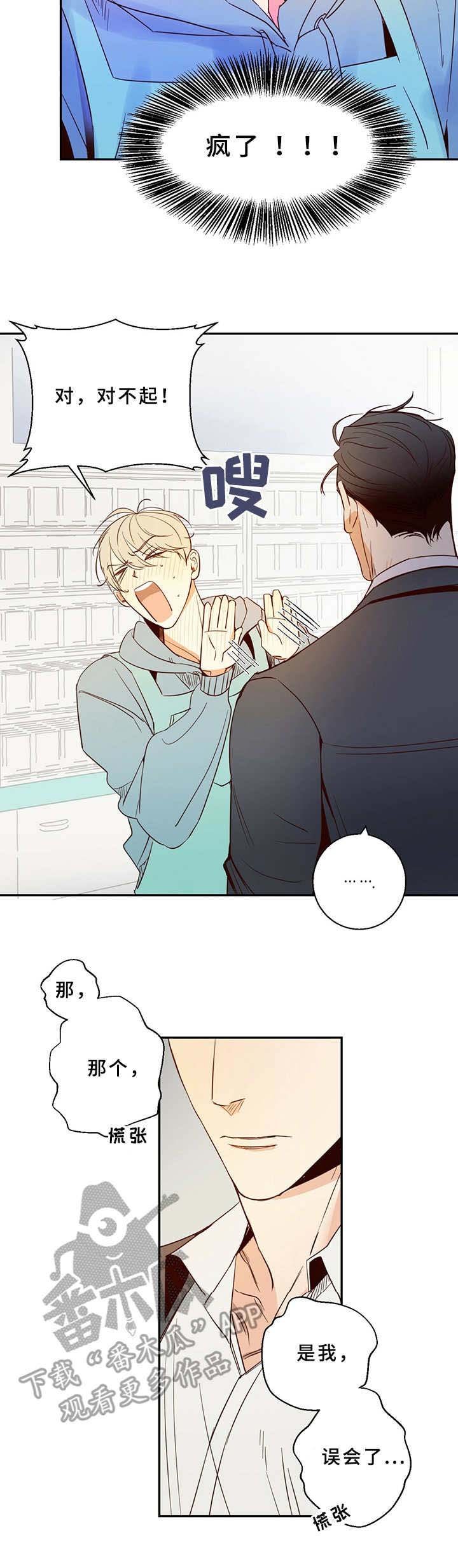 第2章：蠢事