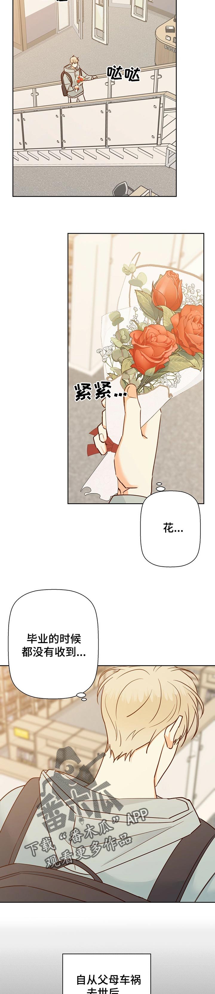 第62章：【第二季】花