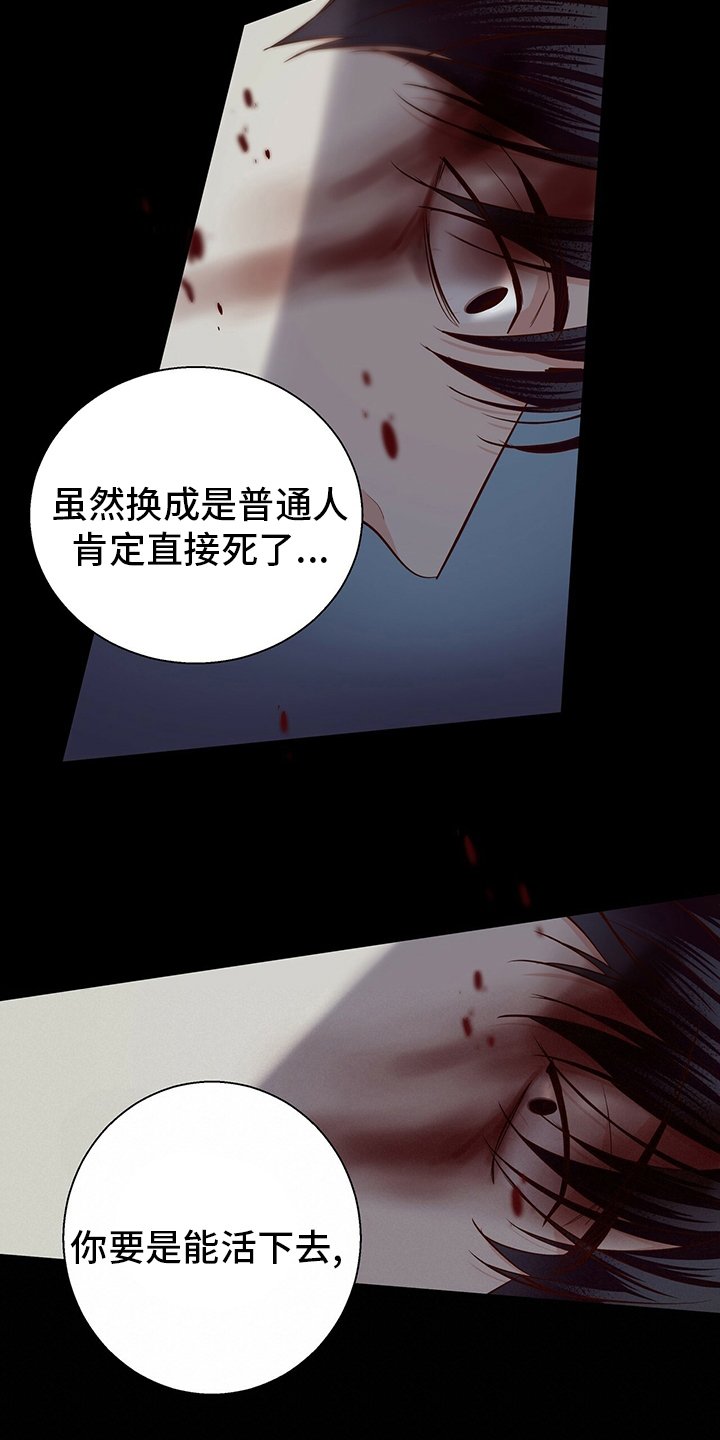 第97章：【番外】运气