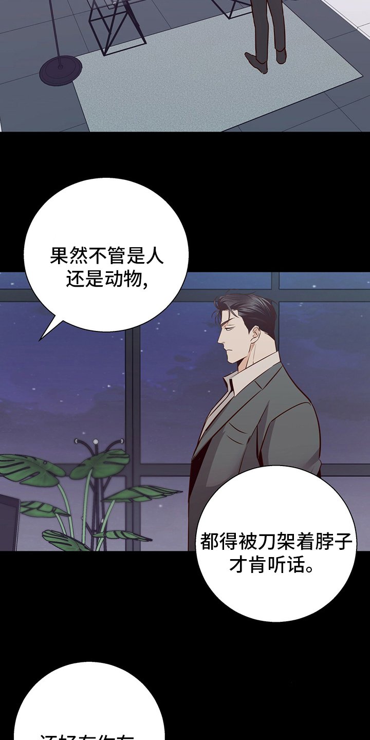 第98章：【番外】身不由己