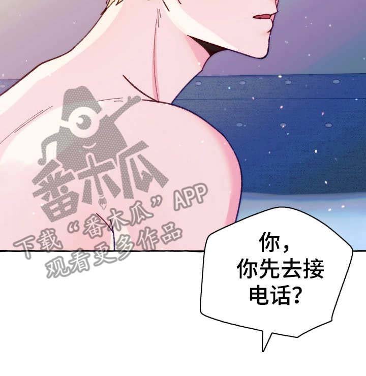 第22章：电话