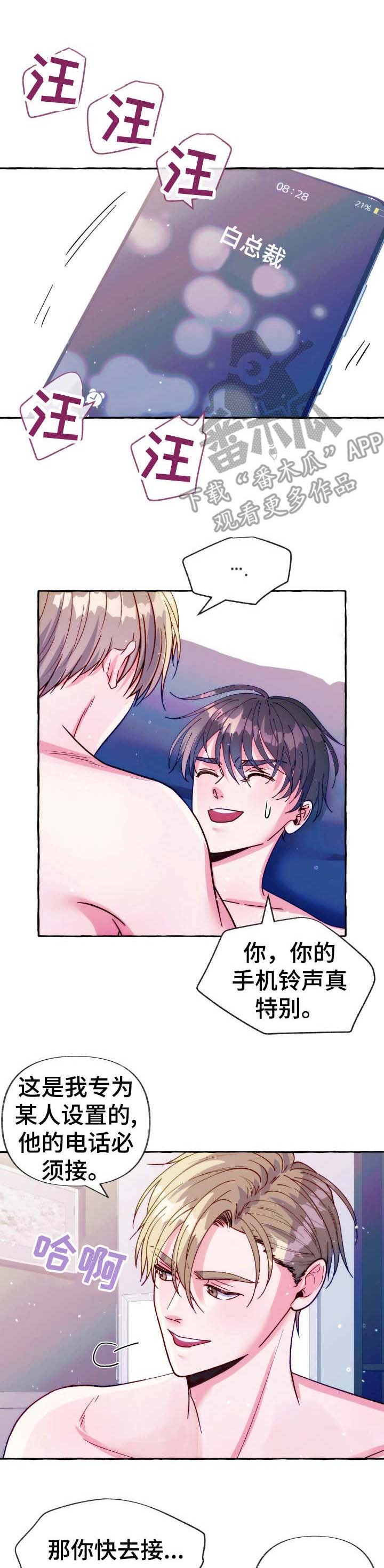 第22章：电话