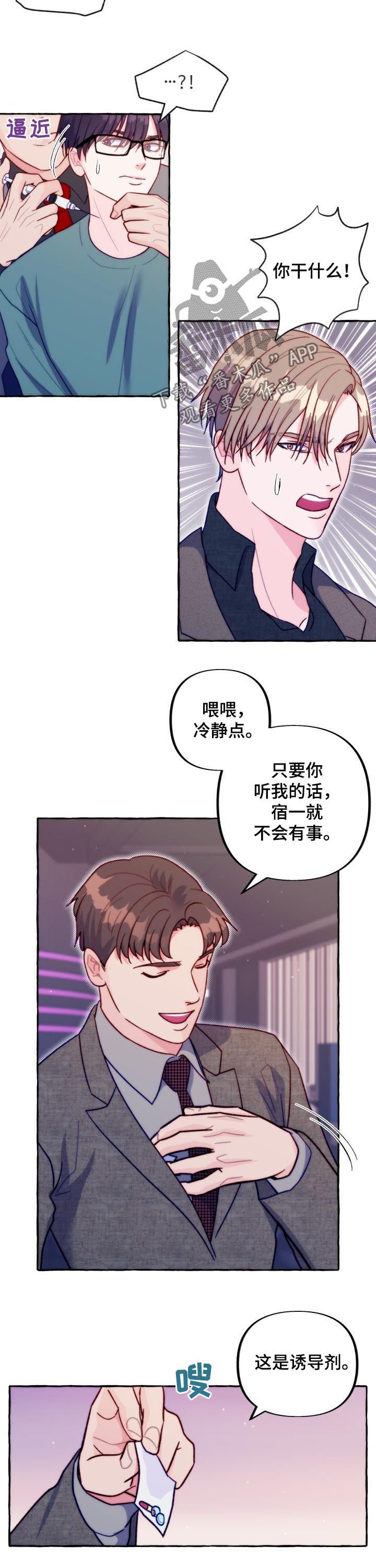 第41章：拒绝信息素