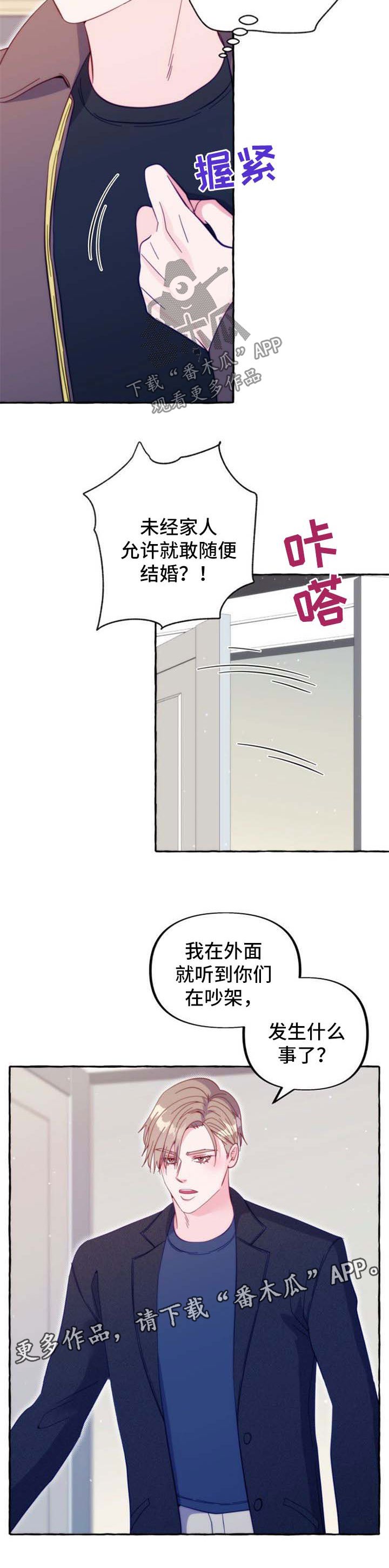 第48章：公开婚礼
