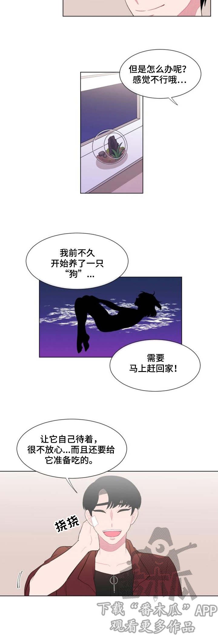 第28章：试探