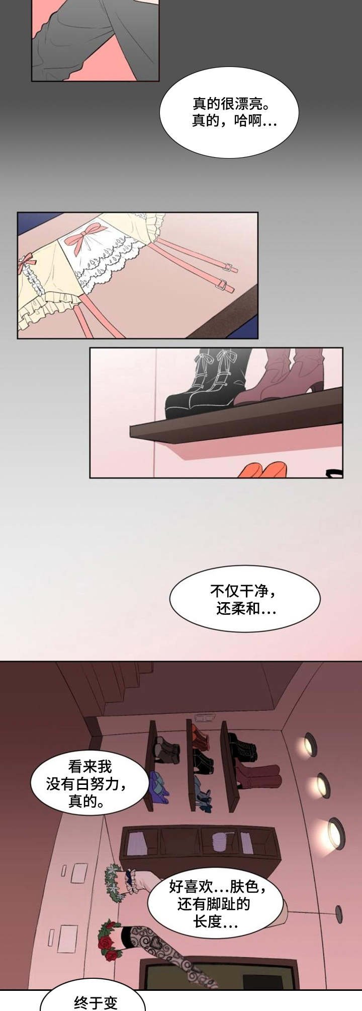 第3章：标本