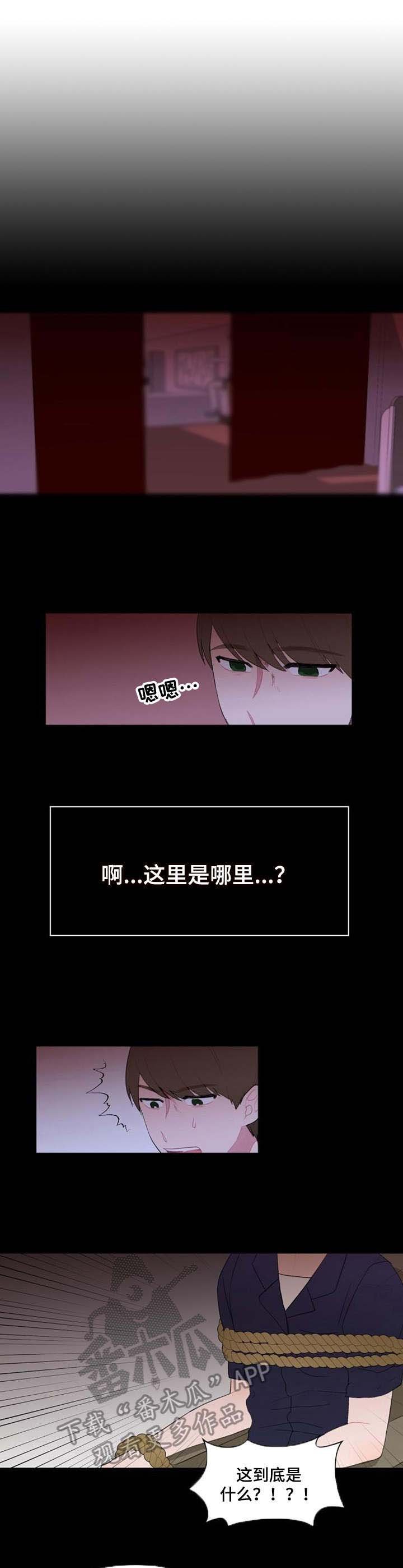 第31章：摊牌