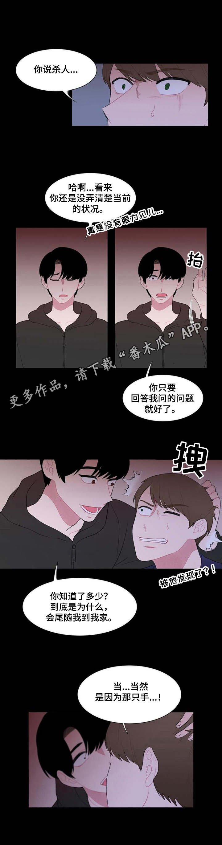 第31章：摊牌