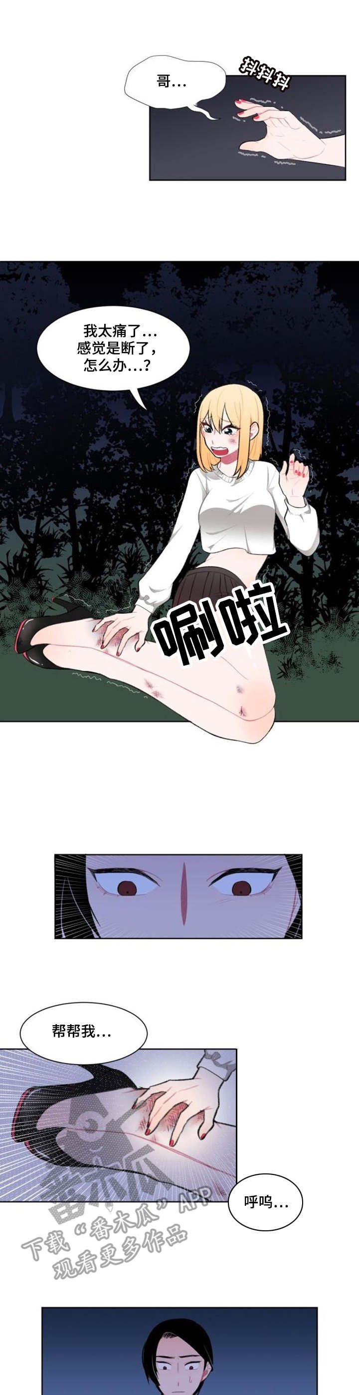 第6章：替代品