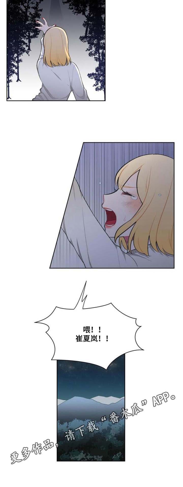 第6章：替代品