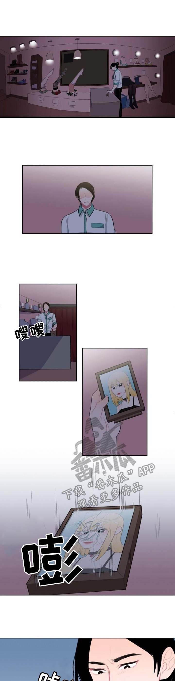 第6章：替代品