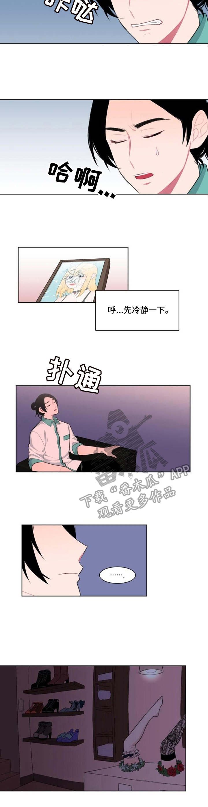 第6章：替代品