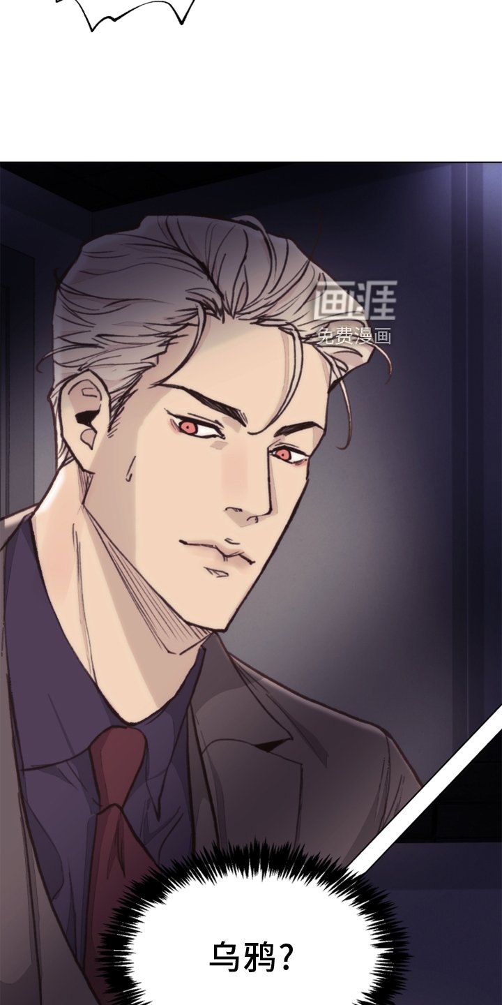 第103章：【番外】乌鸦