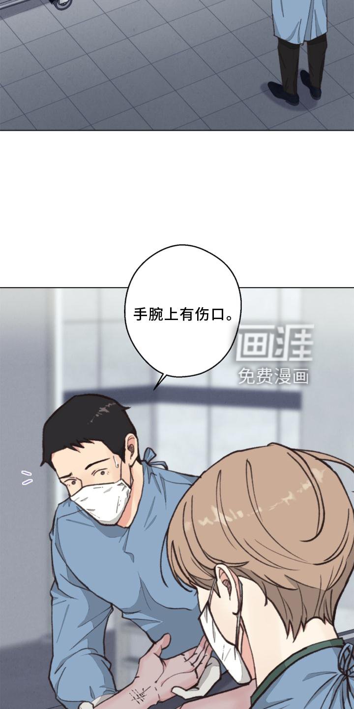 第119章：【番外】解刨