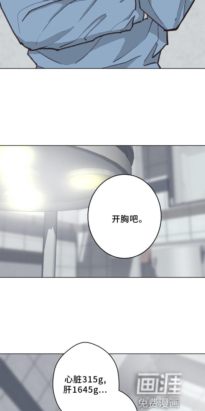 第119章：【番外】解刨