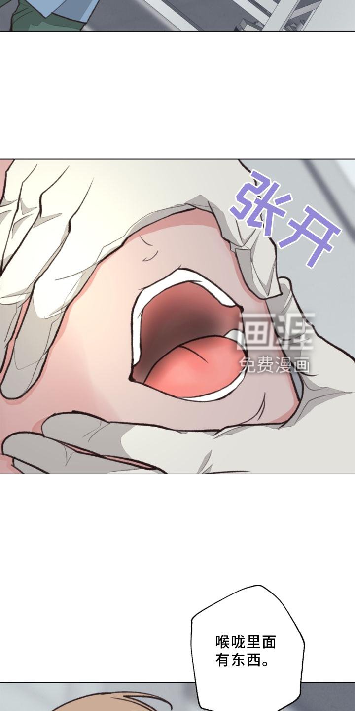 第119章：【番外】解刨